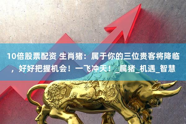 10倍股票配资 生肖猪：属于你的三位贵客将降临，好好把握机会！一飞冲天！_属猪_机遇_智慧