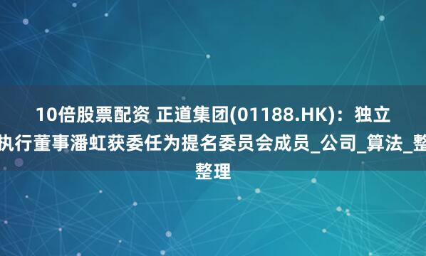 10倍股票配资 正道集团(01188.HK)：独立非执行董事潘虹获委任为提名委员会成员_公司_算法_整理