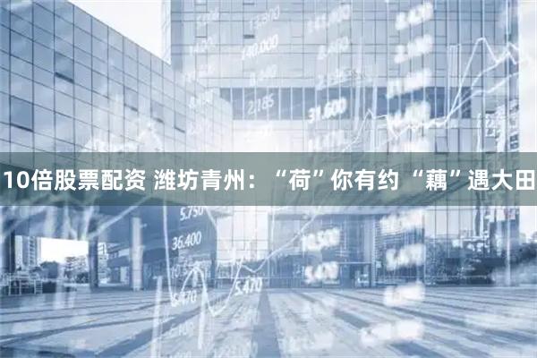 10倍股票配资 潍坊青州：“荷”你有约 “藕”遇大田