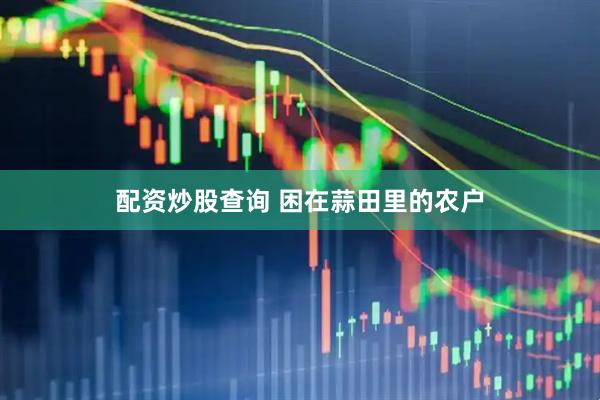 配资炒股查询 困在蒜田里的农户